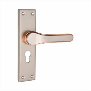023 Door Lock
