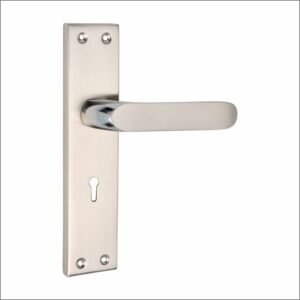 029 Door Lock