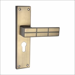 031 Door Lock