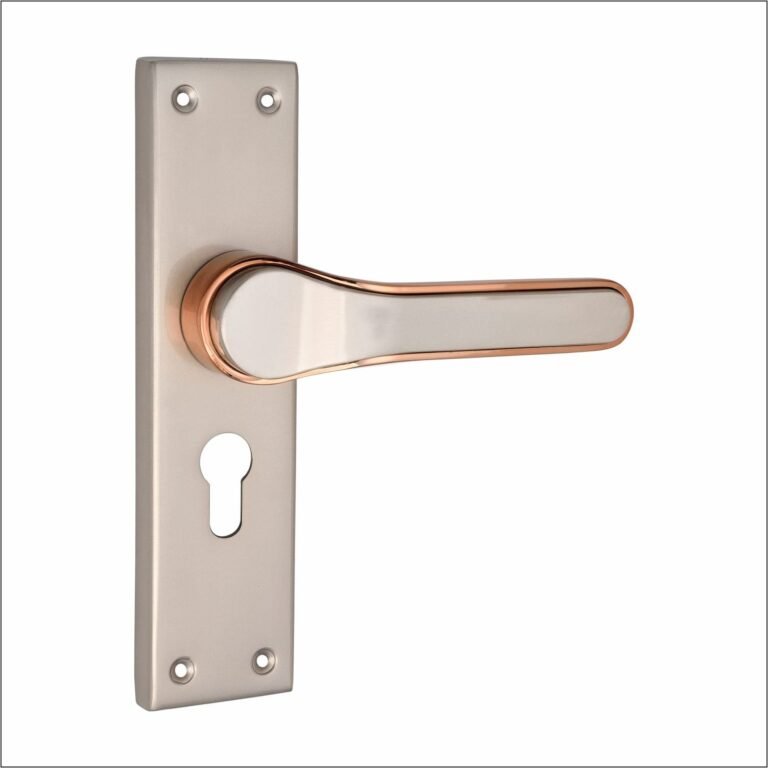 Door Locks