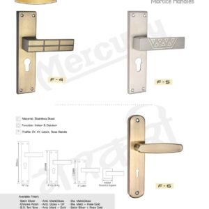 F-5 SS Mortice Handle